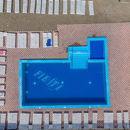 Dana New 2025 * Solotvyno