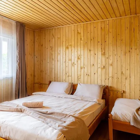 Dana New 2025 Resort Solotvyno