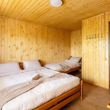 Dana New 2025 Solotvyno