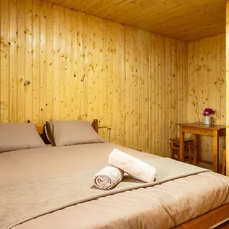 Dana New 2025 * Solotvyno